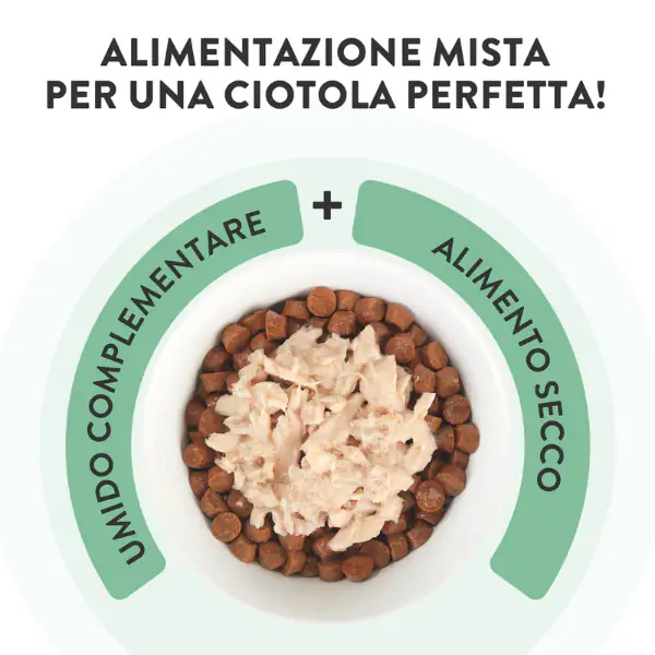 Schesir Cat Soft Adult filetti in gelatina alimento complementare bustine 70 gr