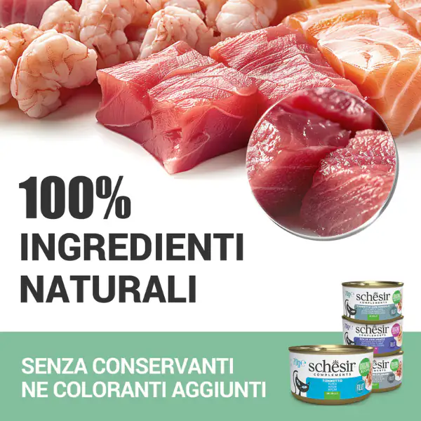 Schesir Cat Soft Adult filetti in gelatina alimento complementare bustine 70 gr