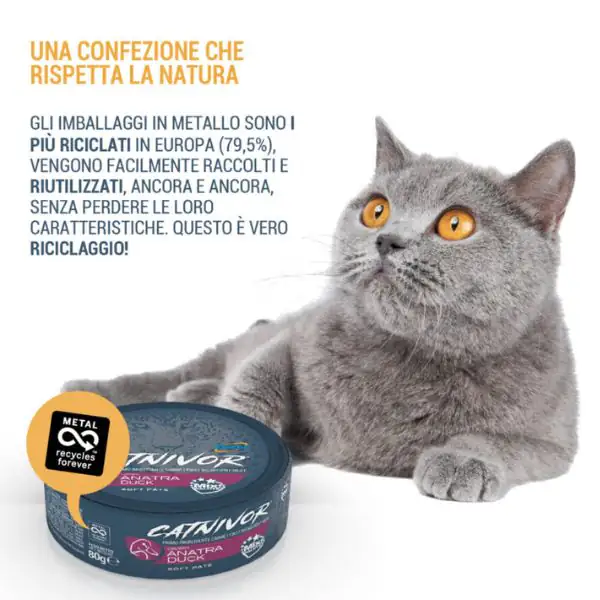 DRN Catnivor Adult Soft Patè 80 gr