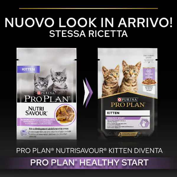 Purina Pro Plan Kitten Healthy Start Umido Gatti in Salsa 85 g