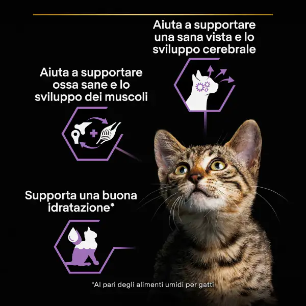 Purina Pro Plan Kitten Healthy Start Umido Gatti in Salsa 85 g