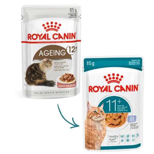 Royal Canin Ageing +12 in Salsa
