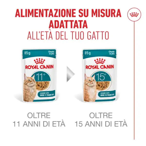 Royal Canin Ageing +12 in Salsa