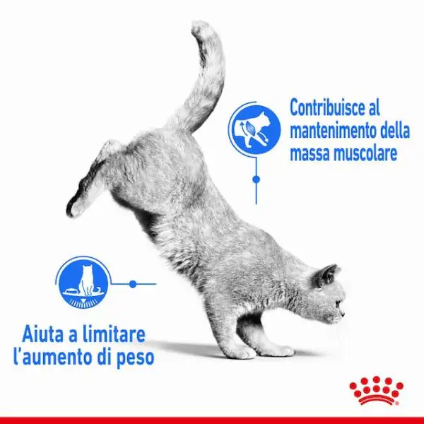 Royal Canin Light Weight Care in Salsa