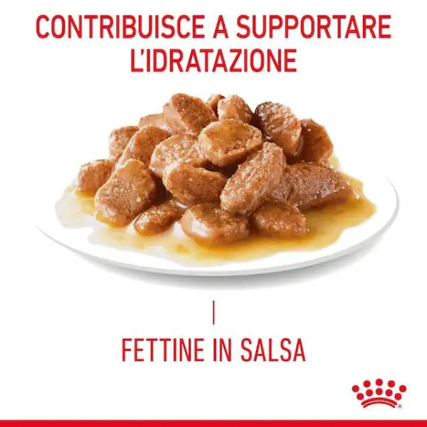 Royal Canin Hair & Skin in Salsa