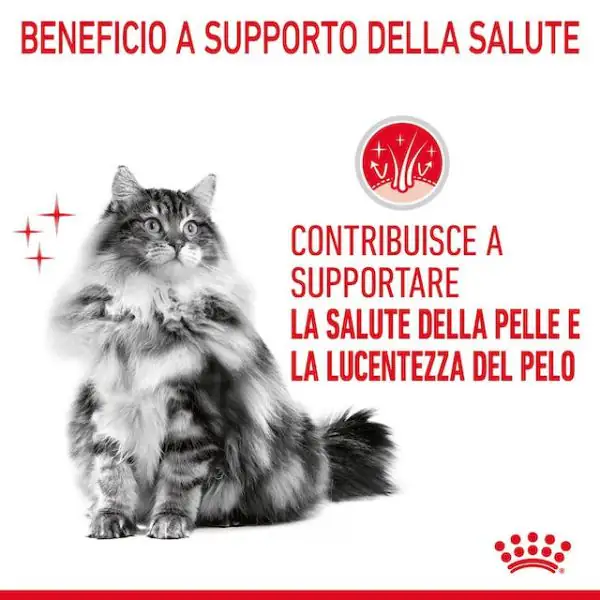 Royal Canin Hair & Skin in Salsa
