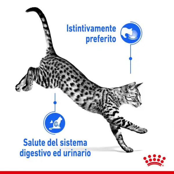 Royal Canin Indoor Sterilised 85 gr