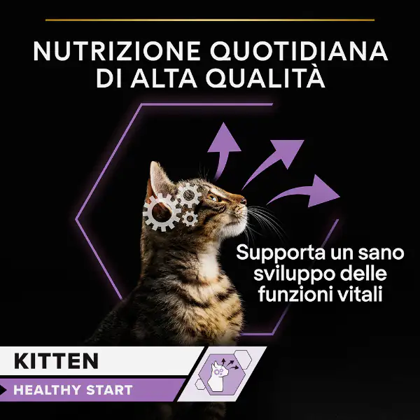 Purina Pro Plan Kitten Healthy Start Umido Gatti in Salsa Tacchino Multipack 10x85g