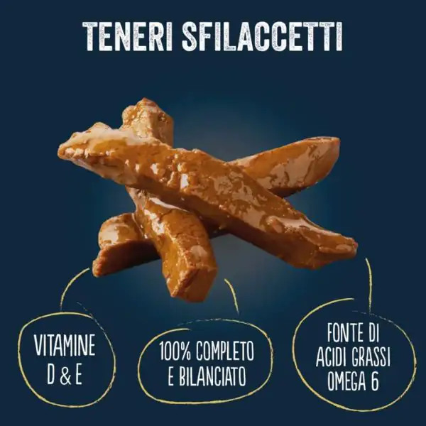 Purina Felix Sfilaccetti Rustici Mixed Selection Multipack 44x80 gr