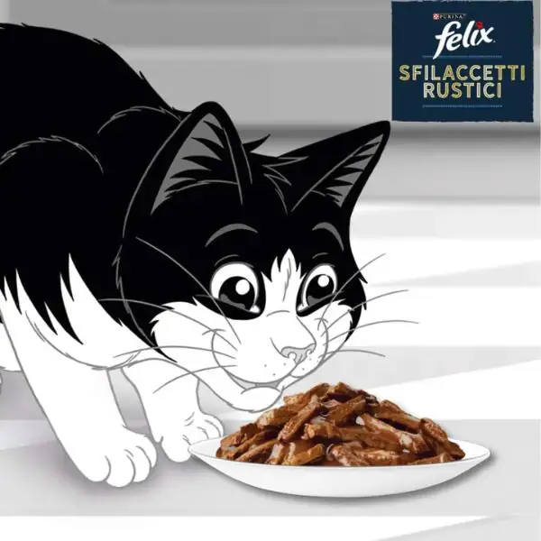 Purina Felix Sfilaccetti Rustici Mixed Selection Multipack 44x80 gr