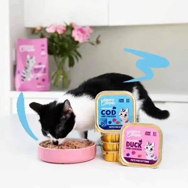 Edgard & Cooper Cat Kitten Patè Grain Free 85 gr