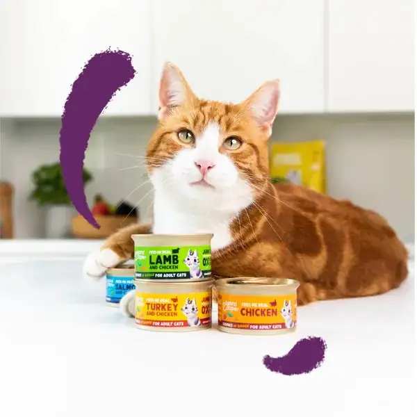Edgard & Cooper Cat Adult Bocconcini in salsa Grain Free 85 gr