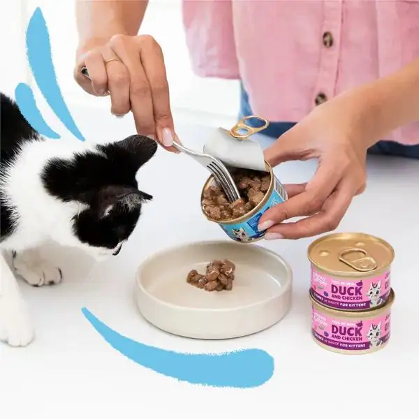 Edgard & Cooper Cat Kitten Bocconcini in salsa Grain Free 85 gr