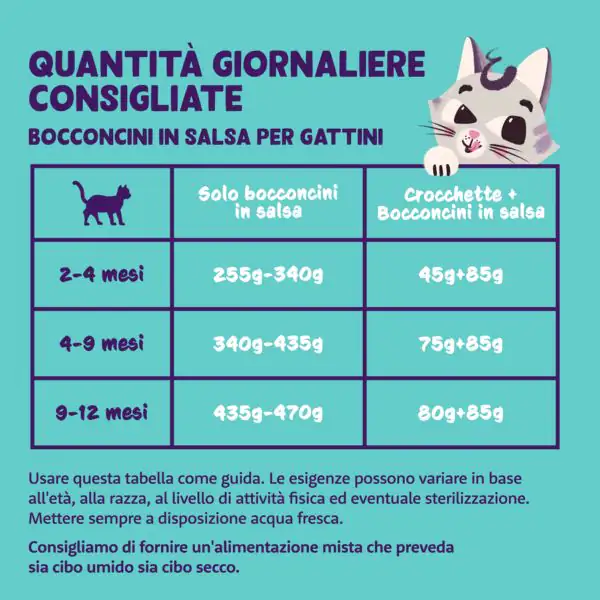 Edgard & Cooper Cat Kitten Bocconcini in salsa Grain Free 85 gr