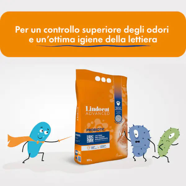 Lindocat Advanced Probiotic lettiera agglomerante anti odore antibatterica