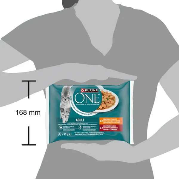 Purina One Cat Adult filettini in salsa multipack 4x85 gr