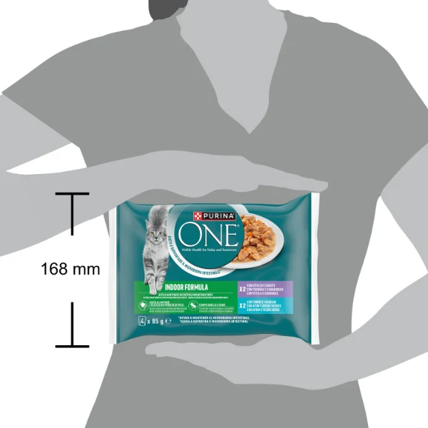 Purina One Indoor Cat Adult filettini in salsa multipack 4x85 gr