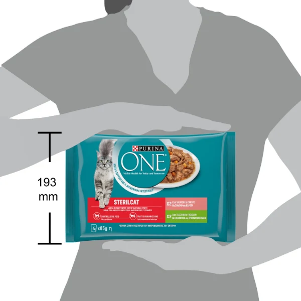 Purina One Cat Sterilised filettini in salsa multipack 4x85 gr