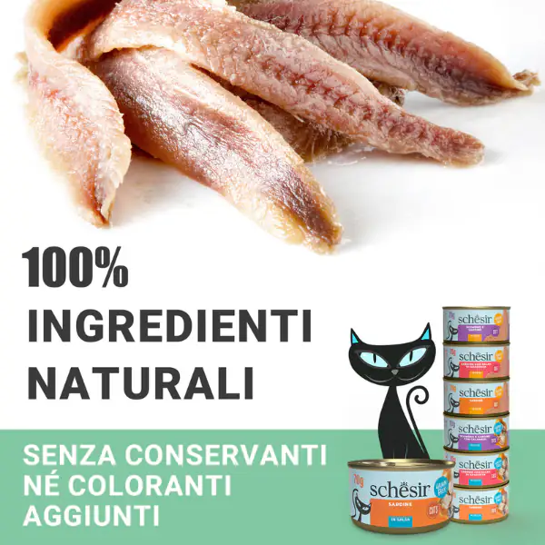 Schesir Sardine Filetti in salsa Cat Adult Grain Free 70 gr