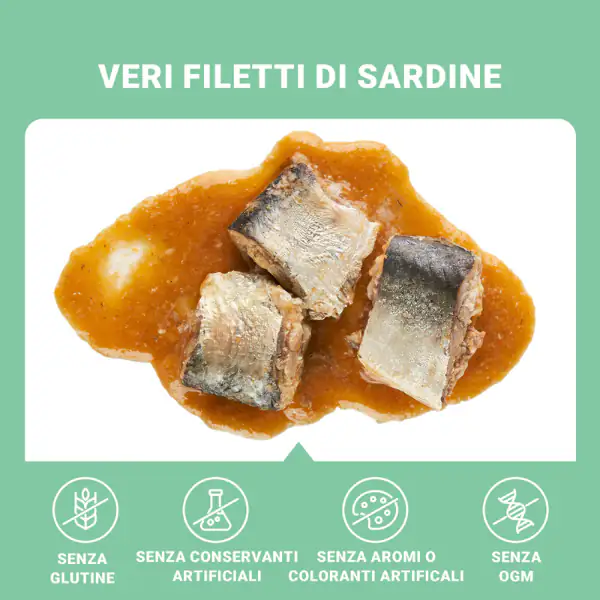 Schesir Sardine Filetti in salsa Cat Adult Grain Free 70 gr