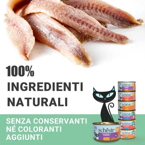 Schesir Sardine Soft Patè Cat Adult Grain Free 70 gr