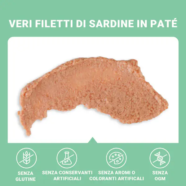 Schesir Sardine Soft Patè Cat Adult Grain Free 70 gr