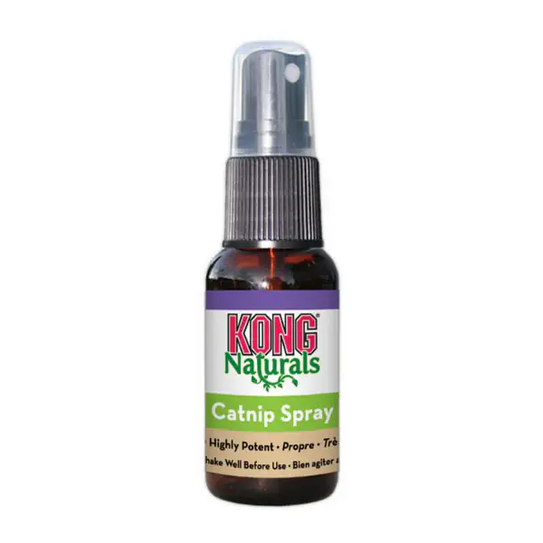 Kong Catnip Spray Erba Gatta
