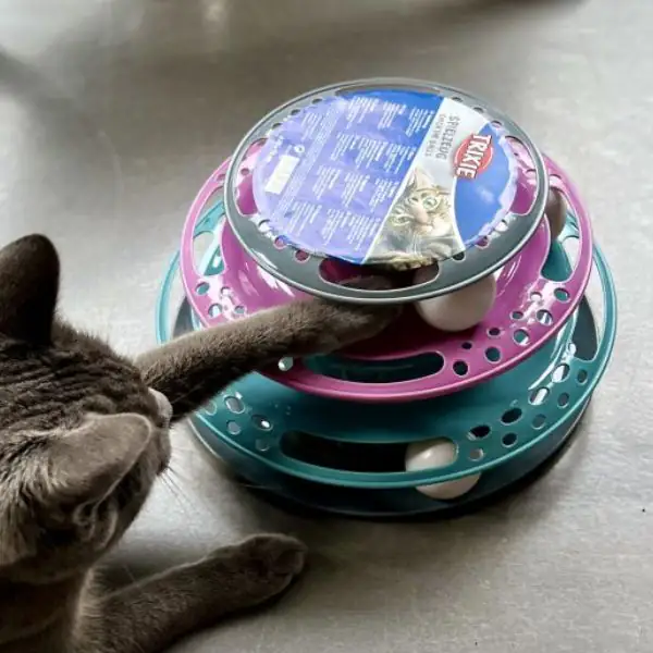 Gioco interattivo per gatti Catch the Balls Trixie