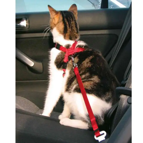Pettorina con cintura per auto gatti Trixie