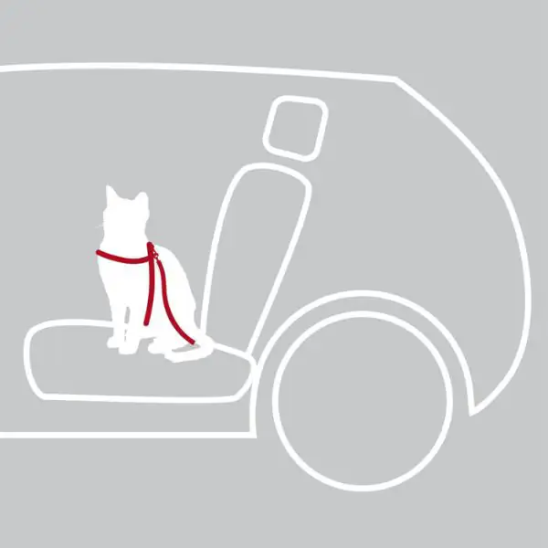 Pettorina con cintura per auto gatti Trixie