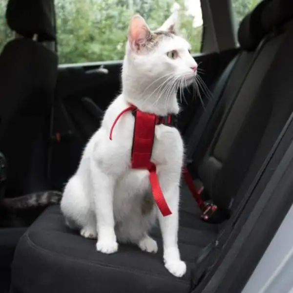 Pettorina con cintura per auto gatti Trixie