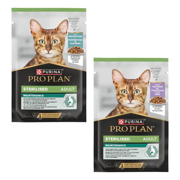 Purina Pro Plan Cat Adult Sterilised Maintenance Umido in gelatina 85 g