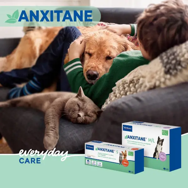 Virbac Anxitane per la Riduzione dello stress Compresse per cani e gatti