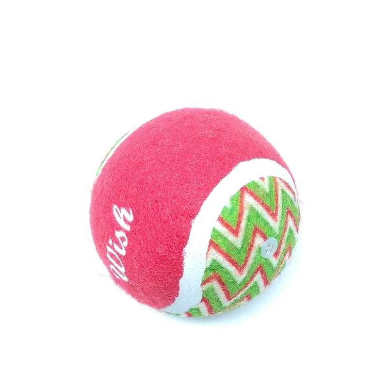 6 palle Tennis gioco cane