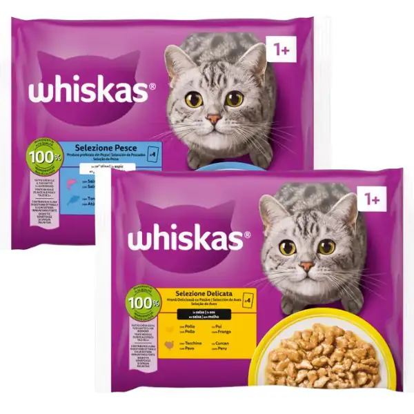 Whiskas ricette in salsa Multipack 4 pezzi da 85 gr