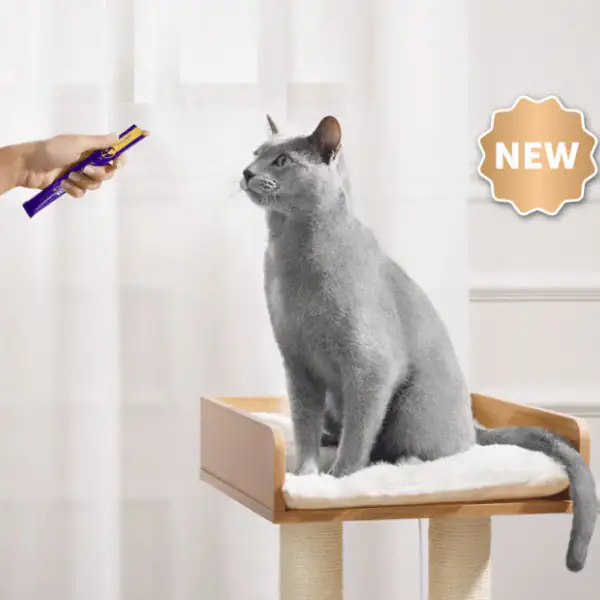 Feliway Happy Snack per gatti in crema 90 gr