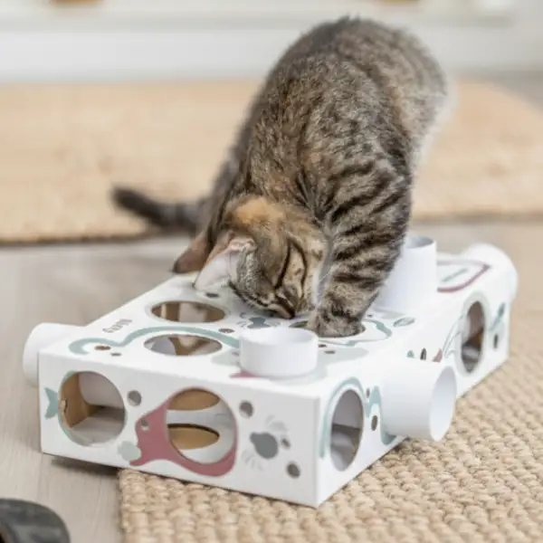 Paws'n'Treats Box gioco per gatti di attivazione mentale Trixie