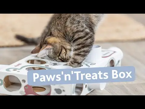 Paws'n'Treats Box gioco per gatti di attivazione mentale Trixie