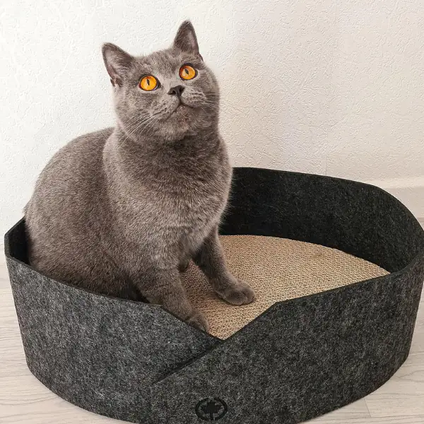 Cuccia per gatti in feltro con fondo tiragraffi in cartone Owen CanadianCat
