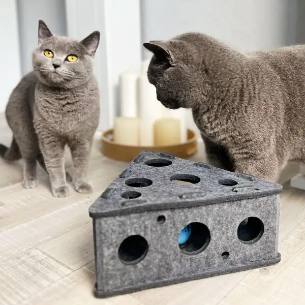 Gioco per gatti dall'intrattenimento prolungato in feltro CanadianCat