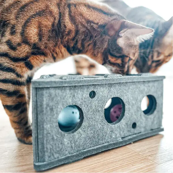 Gioco per gatti dall'intrattenimento prolungato in feltro CanadianCat
