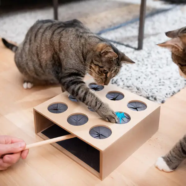 Gioco di abilità per gatti cattura il topo in robusto legno CanadianCat