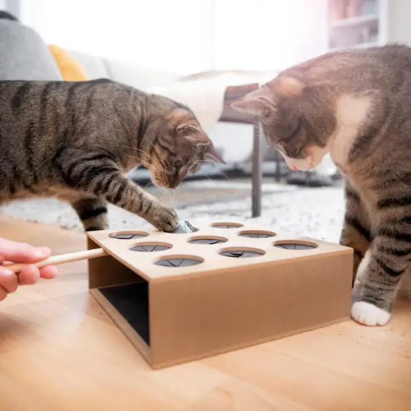 Gioco di abilità per gatti cattura il topo in robusto legno CanadianCat