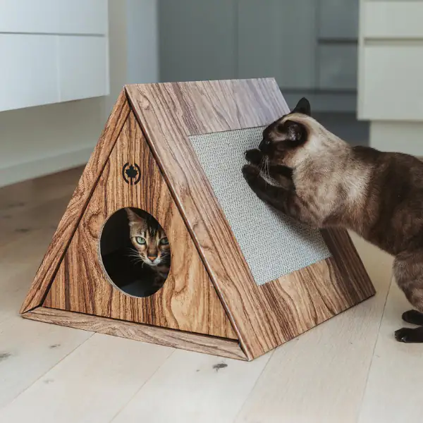Tiragraffi triangolare a forma di casetta con nicchia CanadianCat