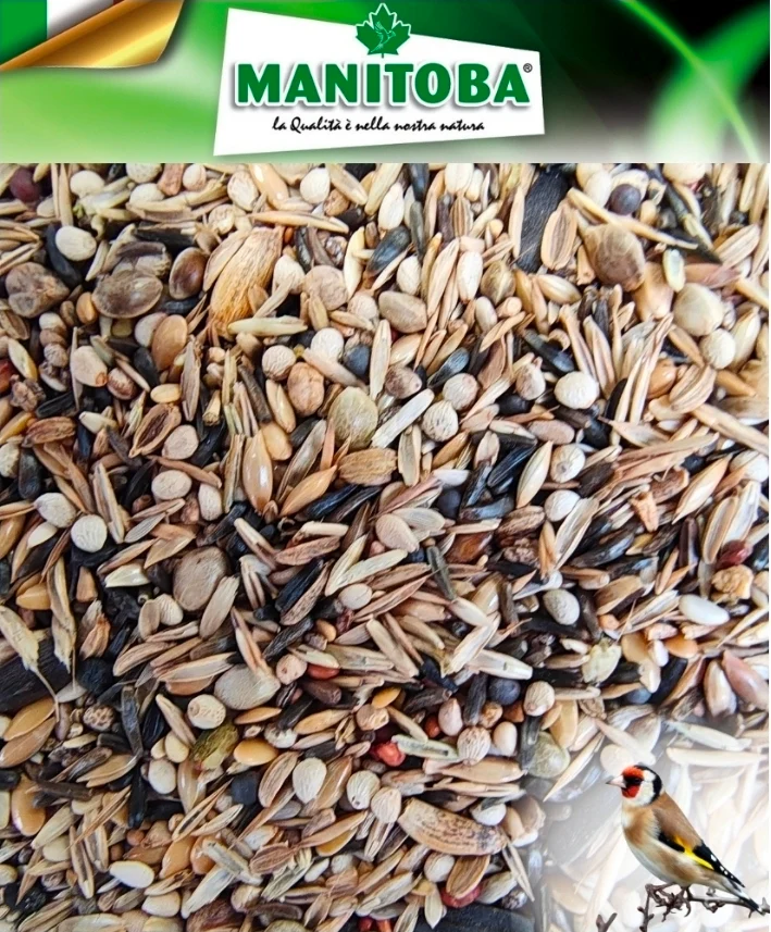 Manitoba Cardellino Major - Cardellini 2.5 kg