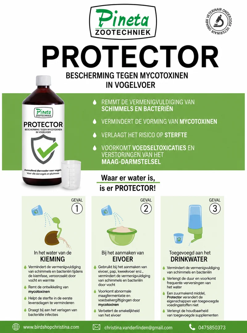 Protettore 3 in 1 (antibatterico) 1L - (Acqua per germinazione, alimento per uova, acqua potabile) Pineta Zootecnici