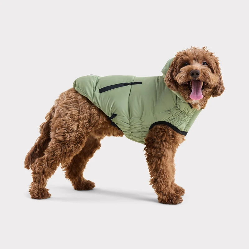 Storm Glide Parka | Shadow Moss