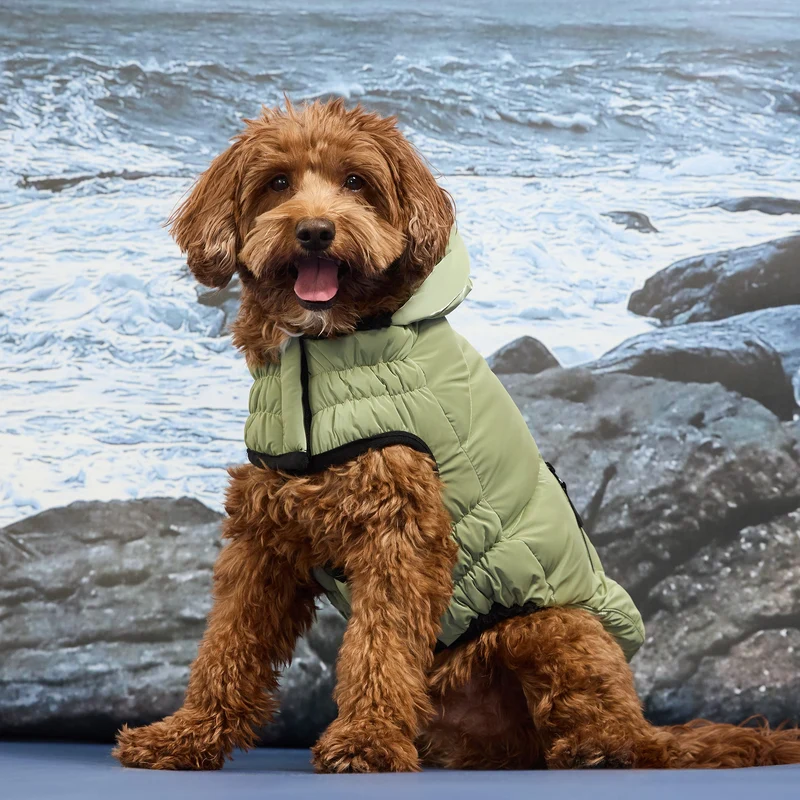 Storm Glide Parka | Shadow Moss