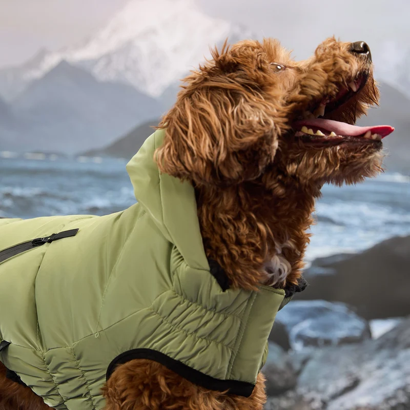 Storm Glide Parka | Shadow Moss
