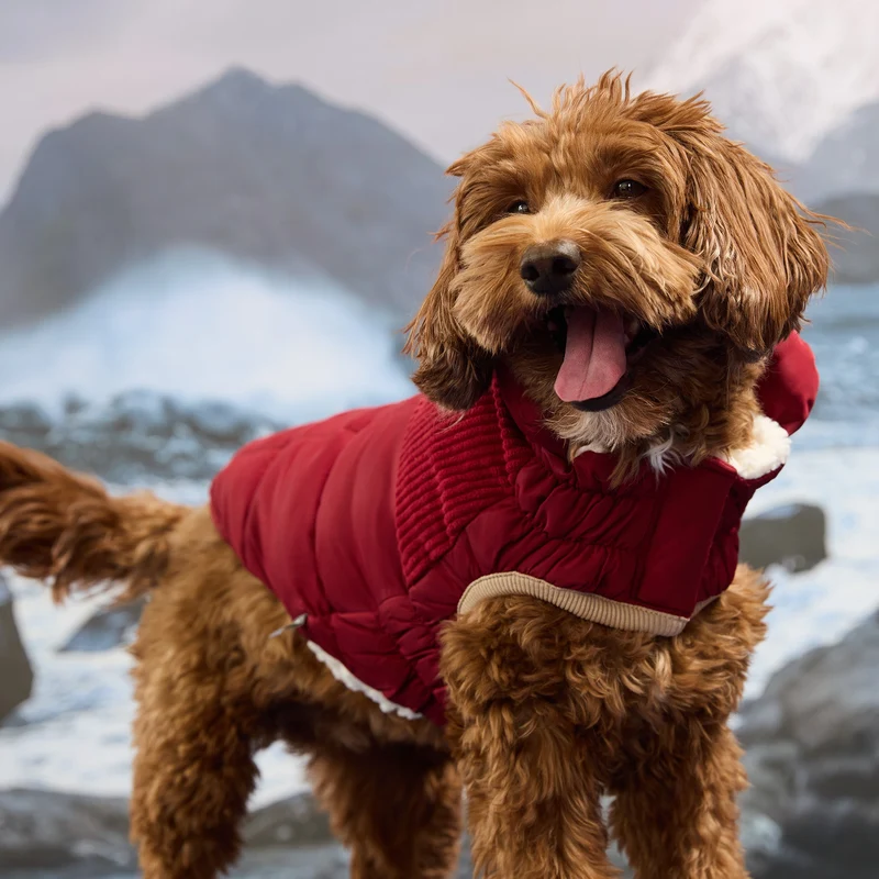 Cold Mountain Puffer | Cherry Frost